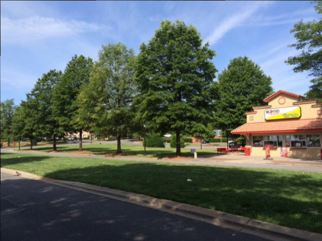 The tree to the left of Brusters along Kenton Drive was originally going to be removed to make room for the new drive through. However, the town board asked that the tree remain. "Removing that tree and putting a replacement in the buffer zone further away will be like a missing tooth in the streetscape" said Mayor Chuck Travis.