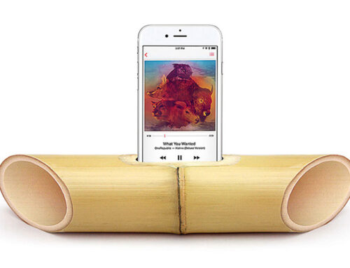 EarthTalk: How do I give ‘green’ this Christmas, and I don’t mean money. Merry Christmas EarthTalk!