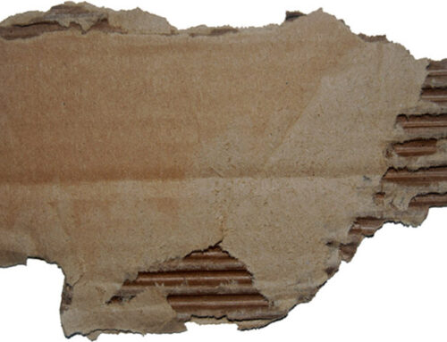 EarthTalk: What’s up with all the boxes from online shopping?